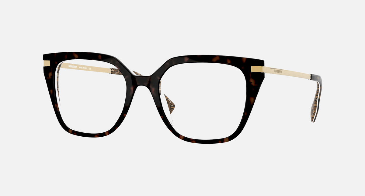 0BE2310 / Tortoise(3827) / 50-19-140