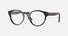0BE2354 / Dark Havana(3991) / 49-21-140