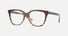 0BE2439 / Brown(4202) / 50-17-140