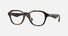 0BE2444U / Dark Havana(3002) / 49-20-145