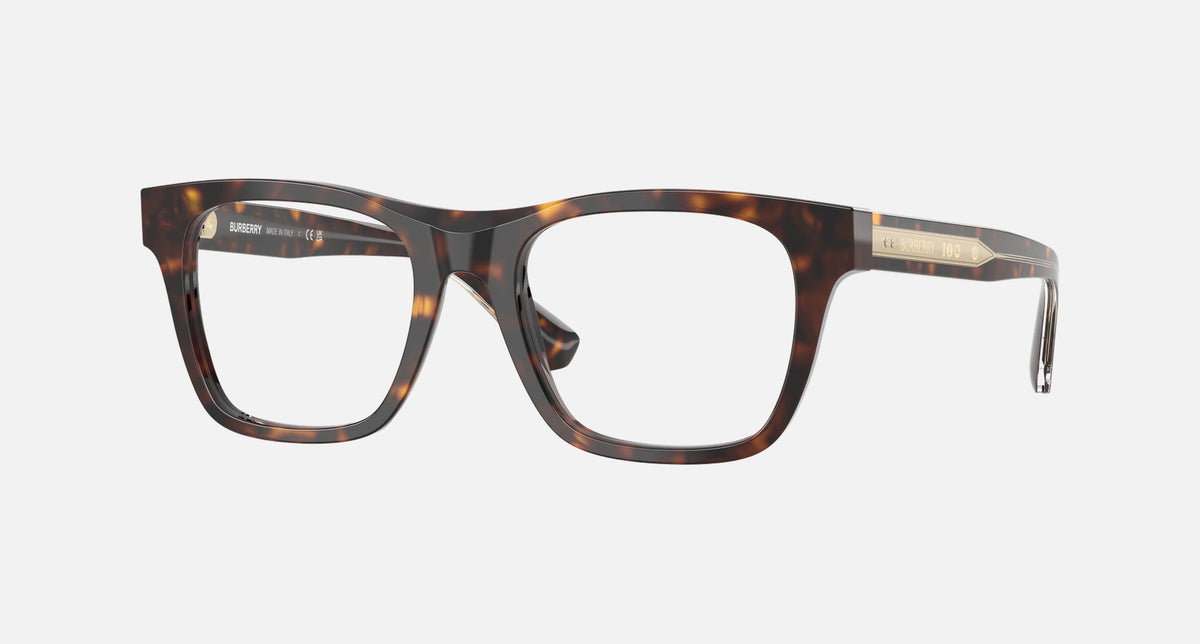 0BE2445 / Burberry Colour(4205) / 50-19-145