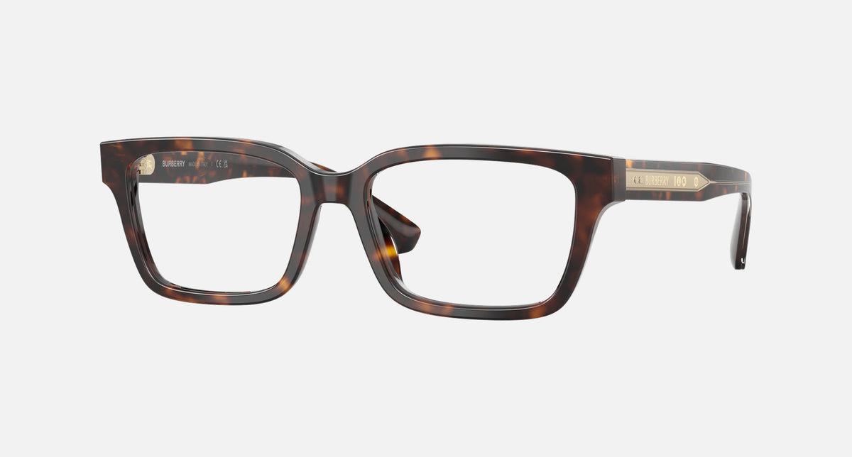 0BE2453 / Burberry Colour(4205) / 53-17-145