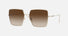 0BE3133 / Light Gold/Brown Gradient(110913) / 58-16-140