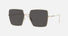 0BE3133 / Light Gold/Dark Grey/Grey(110987) / 58-16-140