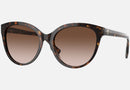 0BE4365 / Dark Havana/Brown Gradient(300213) / 55-18-140