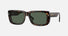 0BE4376U / Dark Havana/Dark Green(300271) / 55-19-150