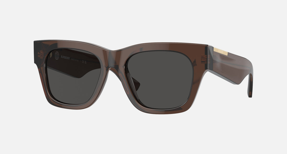 0BE4424 / Brown/Dark Grey(411687) / 52-18-140