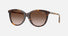 0BE4455 / Burberry Check/Brown Gradient(421613) / 55-17-140