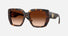0BE4471 / Dark Havana/Brown(300274) / 54-17-140