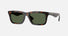 0BE4475U / Dark Havana/Polarized Dark Green(30029A) / 53-19-145
