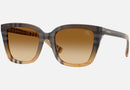 0BE4487 / Brown/Brown Gradient(420213) / 52-19-140