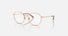 0DG1322 / Pink gold(1298) / 53-18-140