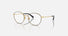 0DG1322 / Gold/black(1334) / 53-18-140