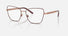 0DG1346 / Pink gold/matte bordeaux(1333) / 55-17-140