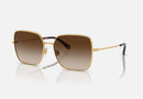 0DG2242 / Gold/Brown Gradient Dark Brown(02/13) / 57-16-140