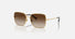 0DG2242 / Gold/Brown Gradient Dark Brown(02/13) / 57-16-140