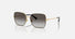 0DG2242 / Black/Light Grey Gradient Black(13348G) / 57-16-140