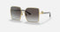 0DG2279 / Gold/Light Grey Gradient Black(02/8G) / 60-14-140