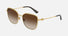 0DG2293 / Gold/Gradient Brown(02/13) / 56-17-145