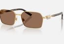 0DG2316 / Gold/Dark Brown(02/73) / 56-16-145