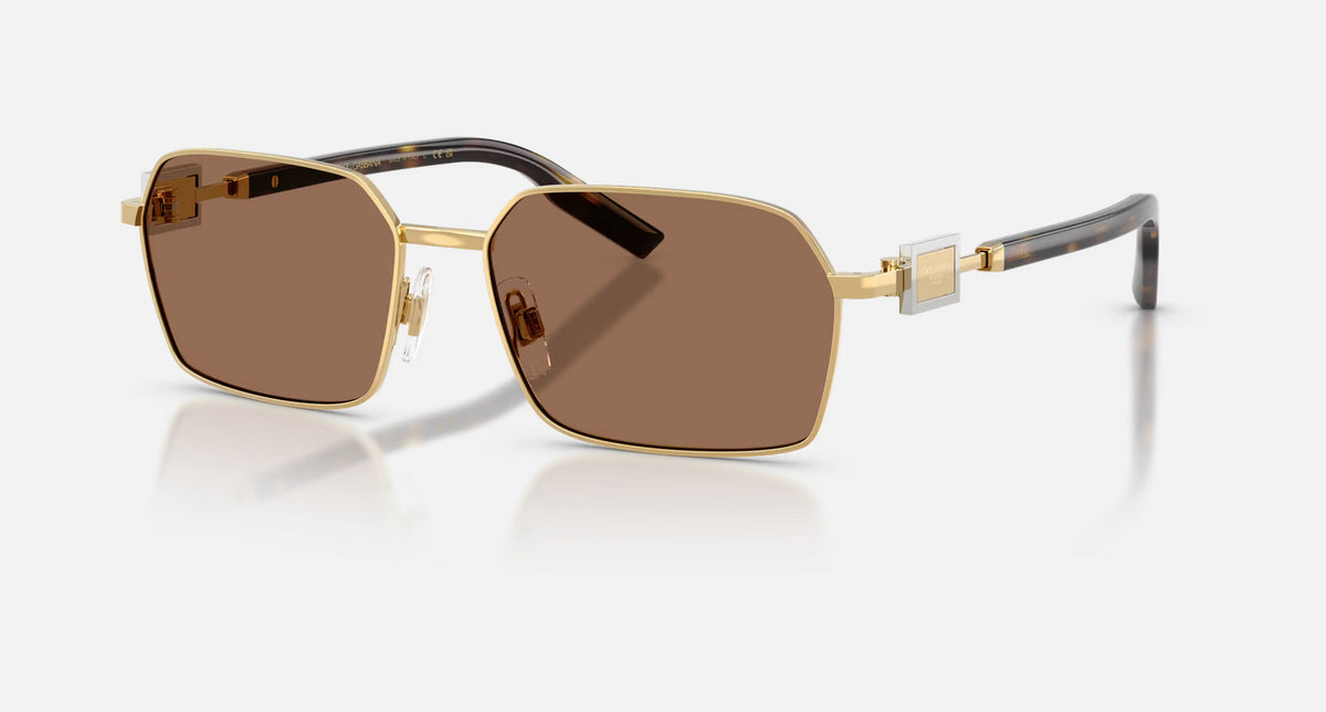 0DG2316 / Gold/Dark Brown(02/73) / 56-16-145
