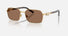 0DG2316 / Gold/Dark Brown(02/73) / 56-16-145
