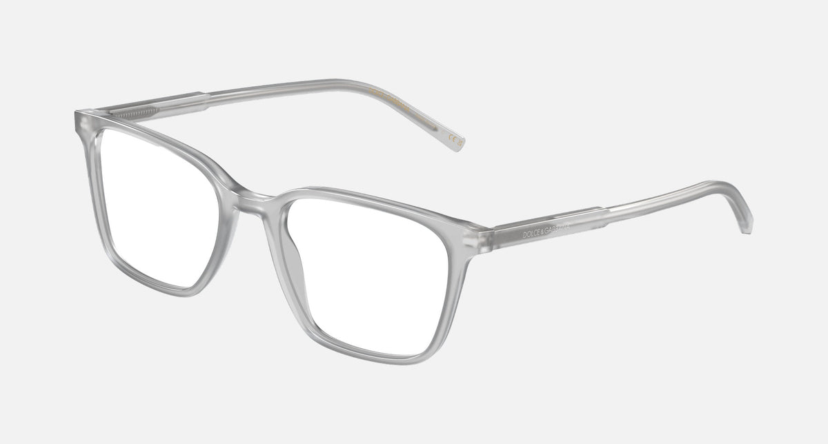 0DG3365 / Opal grey(3421) / 54-19-145