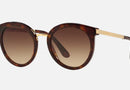 0DG4268 / Havana/light & dark brown gradient(502/13) / 52-22-140