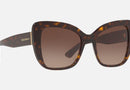 0DG4348 / Havana/Brown Gradient Dark Brown(502/13) / 54-20-140