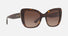 0DG4348 / Havana/Brown Gradient Dark Brown(502/13) / 54-20-140