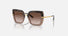 0DG4373 / Havana on transparent brown/Brown Gradient Dark Brown(325613) / 52-21-140