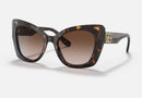 0DG4405 / Havana/Gradient Brown(502/13) / 53-20-140