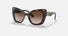 0DG4405 / Havana/Gradient Brown(502/13) / 53-20-140
