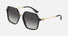 0DG4422 / Black/Grey Gradient(501/8G) / 56-20-145