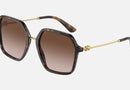 0DG4422 / Havana/Gradient Brown(502/13) / 56-20-145