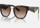 0DG4437 / Havana/Gradient Brown(502/13) / 51-20-145