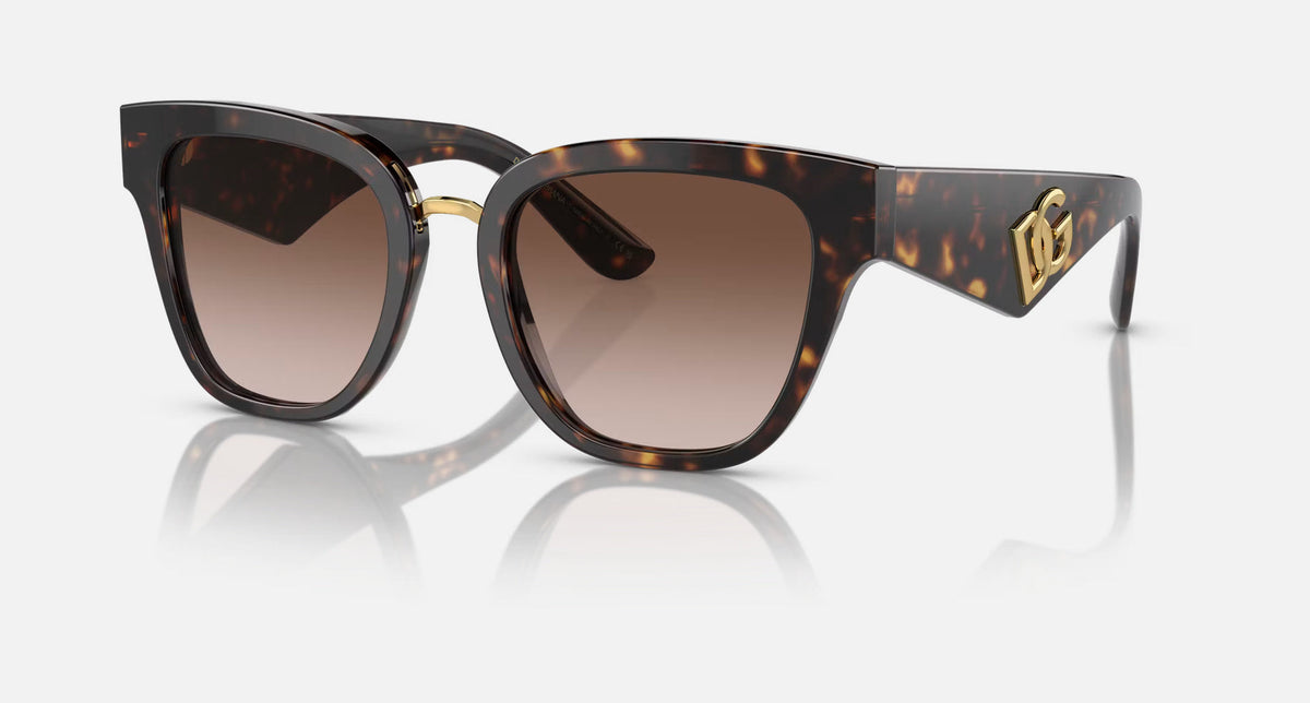 0DG4437 / Havana/Gradient Brown(502/13) / 51-20-145