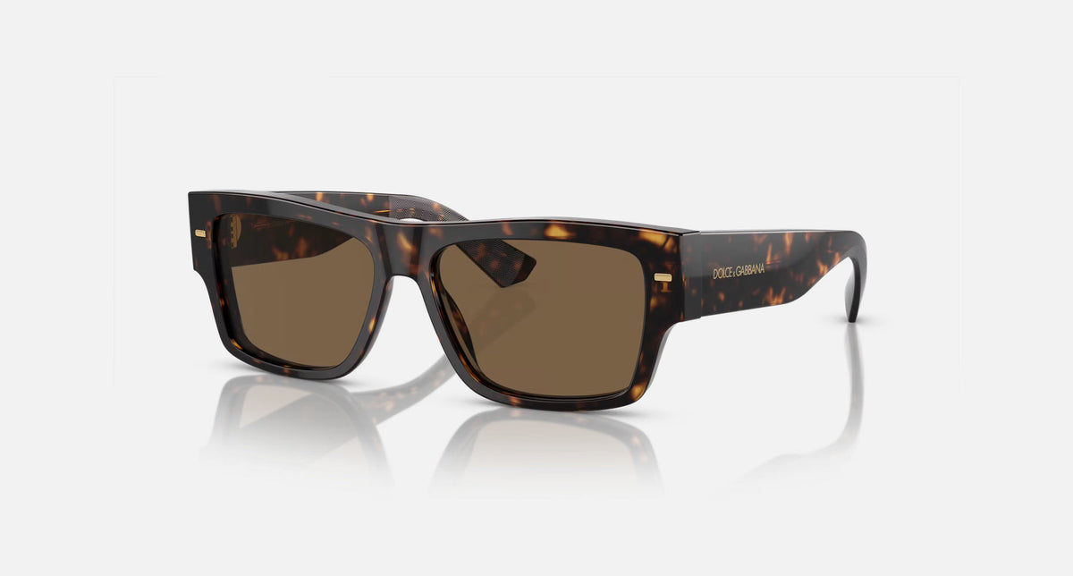 0DG4451 / Havana/Dark Brown(502/73) / 55-15-145