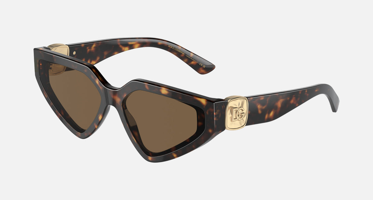 0DG4469 / Havana/Dark Brown(502/73) / 59-15-145