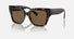 0DG4471 / Havana/Dark Brown(502/73) / 52-18-145