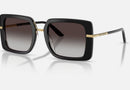 0DG4491 / Top black on leo/Grey Gradient(32998G) / 52-22-145