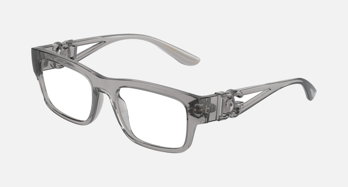 0DG5110 / Transparent grey(3160) / 51-19-145