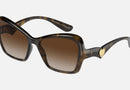 0DG6153 / Havana/Gradient Brown(502/13) / 55-16-140