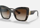 0DG6170 / Havana/black/Gradient Brown(330613) / 53-22-145