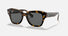RB2186 / Polished Havana On Transparent Brown/Dark Grey(1292B1) / 49-20-145