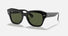 RB2186 / Polished Black/G-15 Green(901/31) / 49-20-145