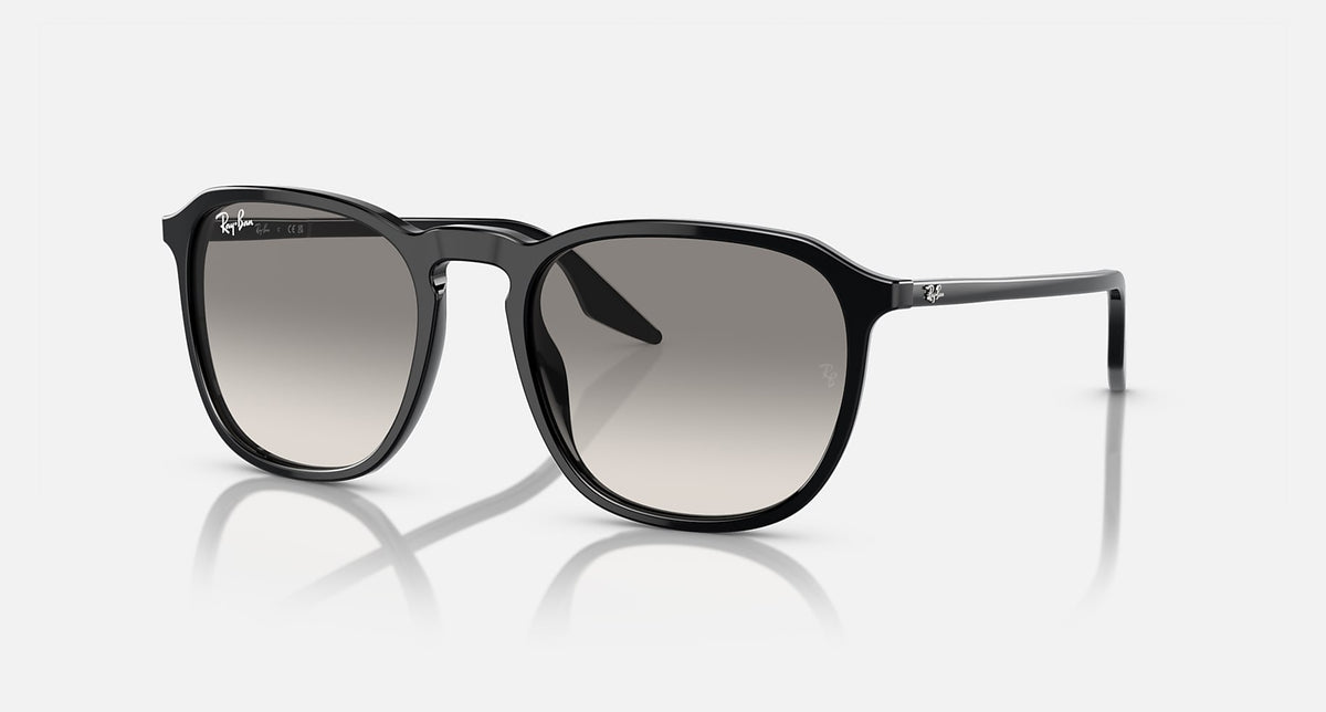 RB2203 / Polished Black/Light Grey(901/32) / 55-20-145