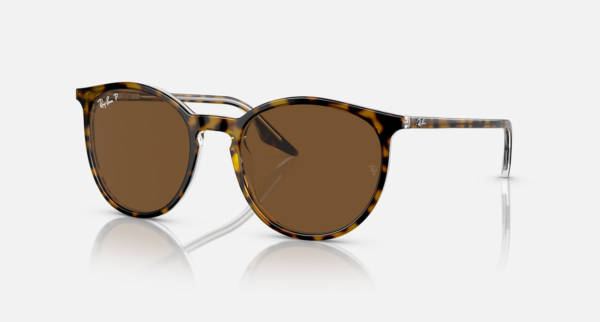 RB2204 / Polished Havana On Transparent/Brown Polarized(139357) / 51-20-145