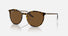 RB2204 / Polished Havana On Transparent/Brown Polarized(139357) / 51-20-145