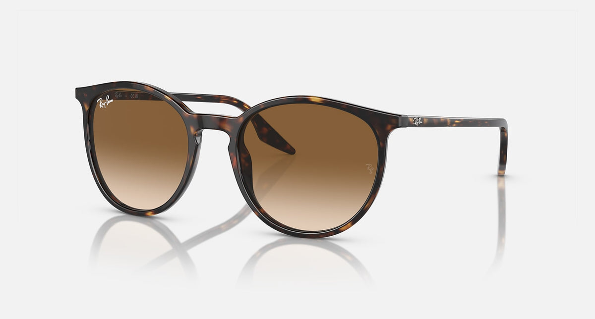 RB2204 / Polished Havana/Light Brown(902/51) / 51-20-145
